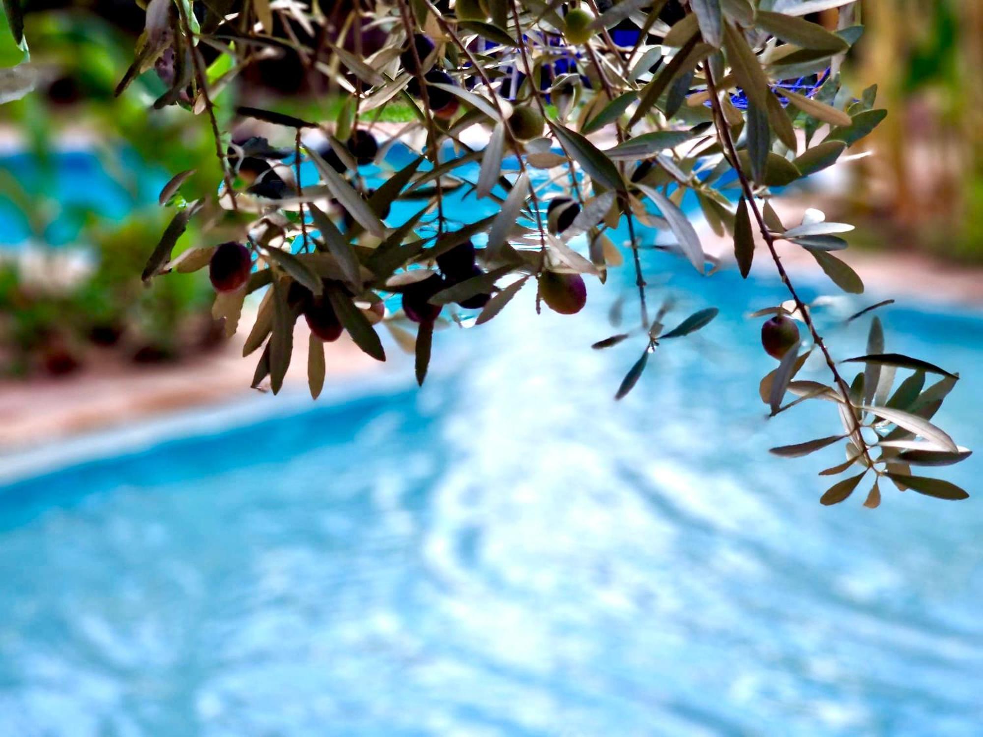 Le Domaine De Carole Marrakech Bed & Breakfast Douar Akkara Exterior photo